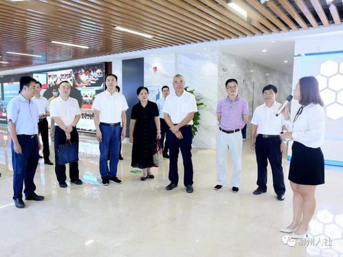 自治区人社厅唐云舒一行到柳州市调研人力资源服务产业园工作