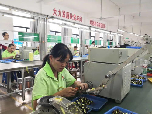 广西自治区人力资源社会保障厅 就业扶贫 拔穷根