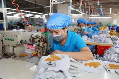 聚焦 稳就业保就业 重点工作目标,广西人社2020年就业工作成效显著