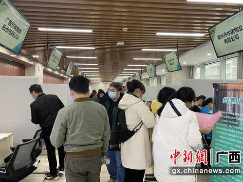 柳州举办青年就业服务季专项行动 助力青年顺利就业