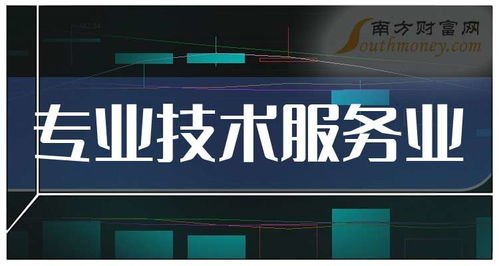 专业技术服务业题材的上市公司名单 9月13日