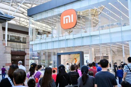 手机线下市场再生变数,小米来势汹汹,友商苦苦坚守