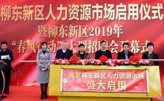 广西人力资源服务 打造区域人才发展新高地
