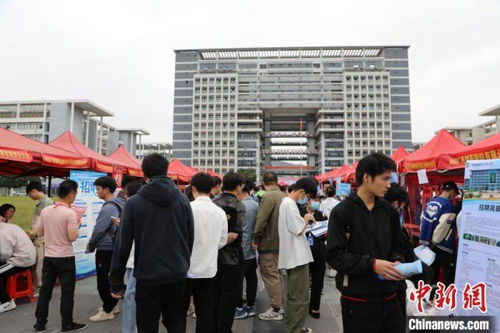 2023年广西公共就业服务进校园专项行动启动，助力高校毕业生精准就业