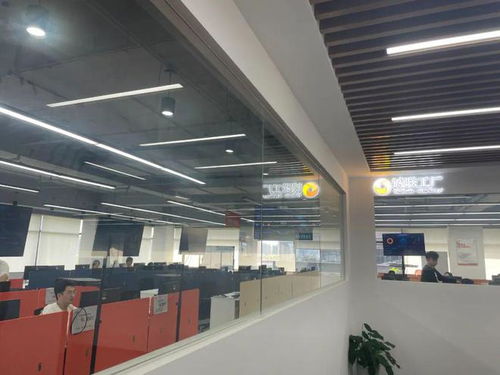 大虹桥园区 广西人力资源服务的崛起